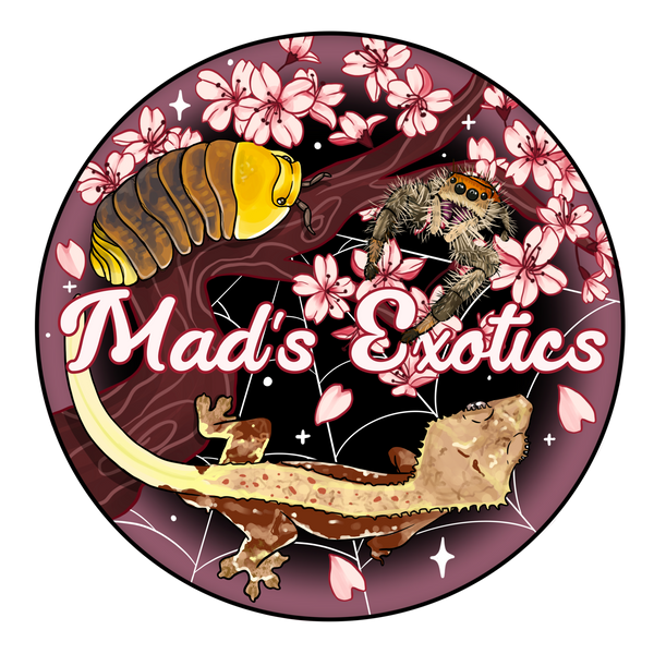 Mads Exotics